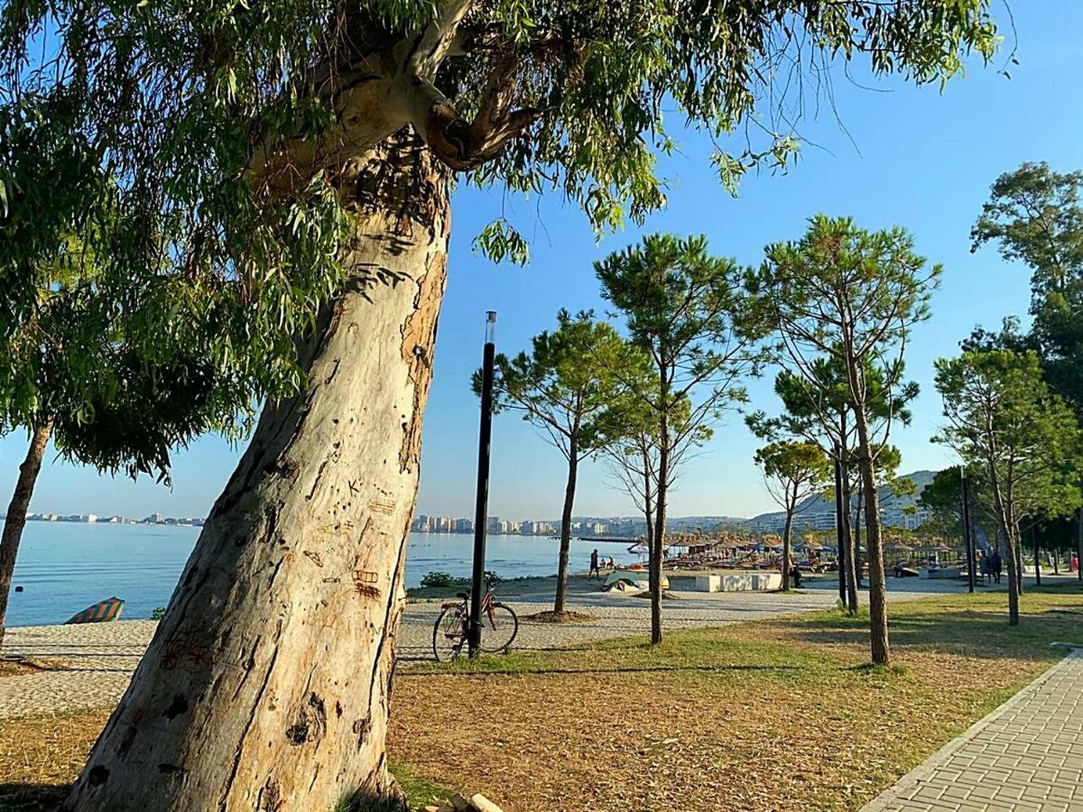 Beach Front Apartment فلورا المظهر الخارجي الصورة